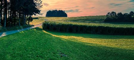 尊龙凯时首页大图4